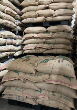 　日本に到着した新摘みの生豆（麻袋）