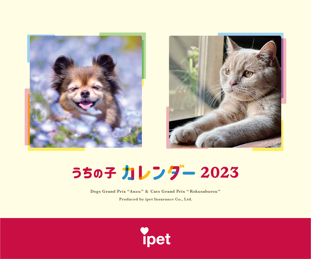 投稿数は、過去最多の17万件を突破！アイペット「うちの子フォト