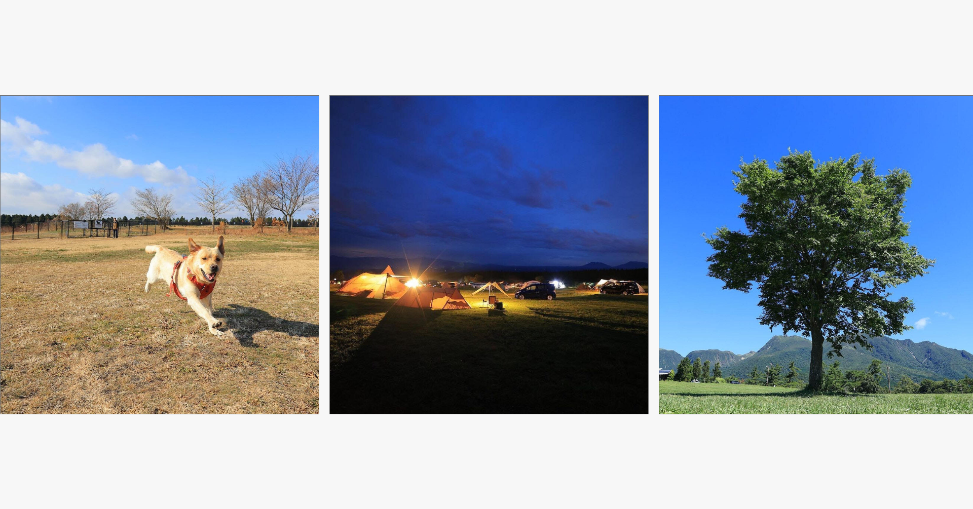 ボイボイキャンプ場