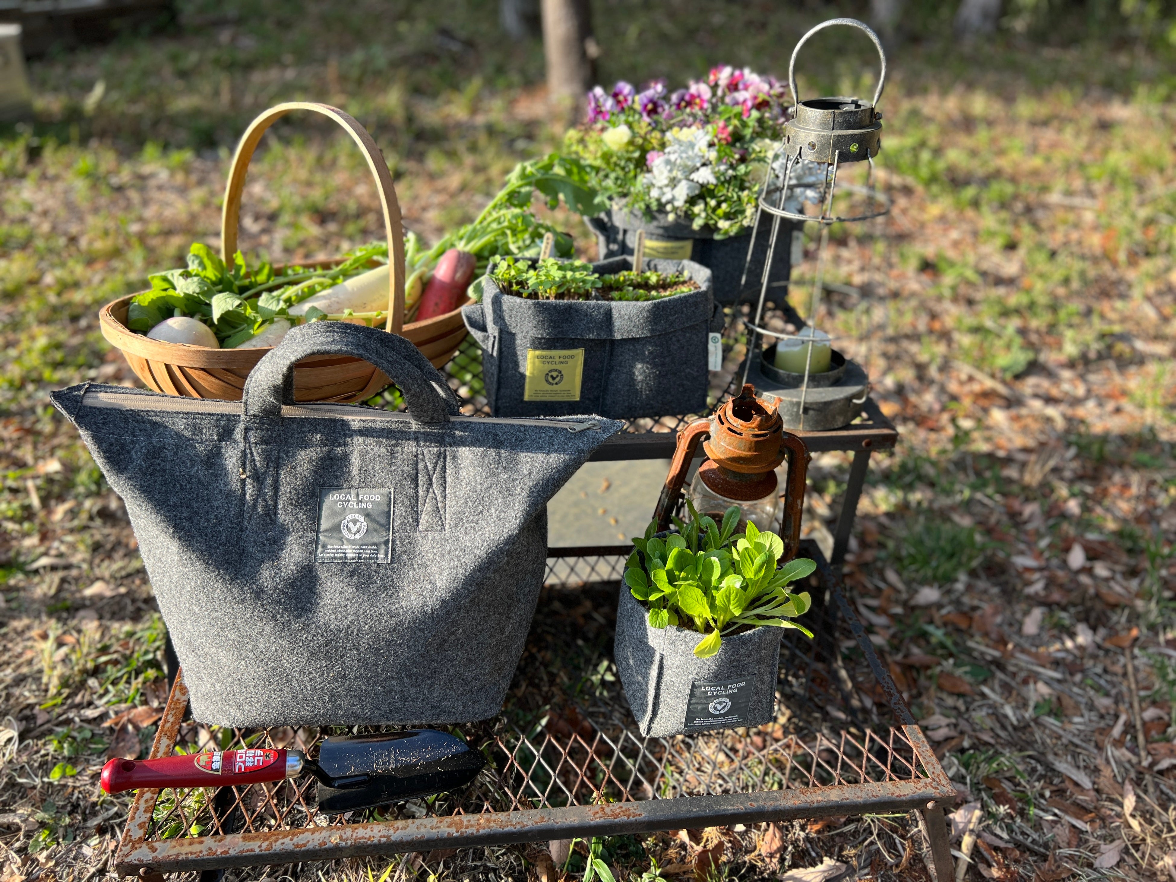 LFCコンポストと、コンポストからできた堆肥を使った家庭菜園