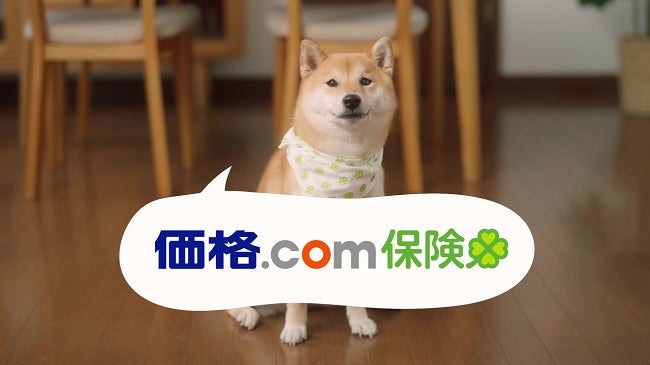 価格 Com保険 Tv Cmを10月1日に放映開始 かわいい柴犬 が価格 Com保険の特長をご紹介 みつかる あなたのナンバーワン保険 株式会社カカクコム インシュアランスのプレスリリース 価格 Com保険 Tv Cmを10月1日に放映開始 かわいい柴犬 が価格 Com保険の特長をご紹介 みつかる あなたのナンバーワン保険 株式会社カカクコム インシュアランスのプレスリリース