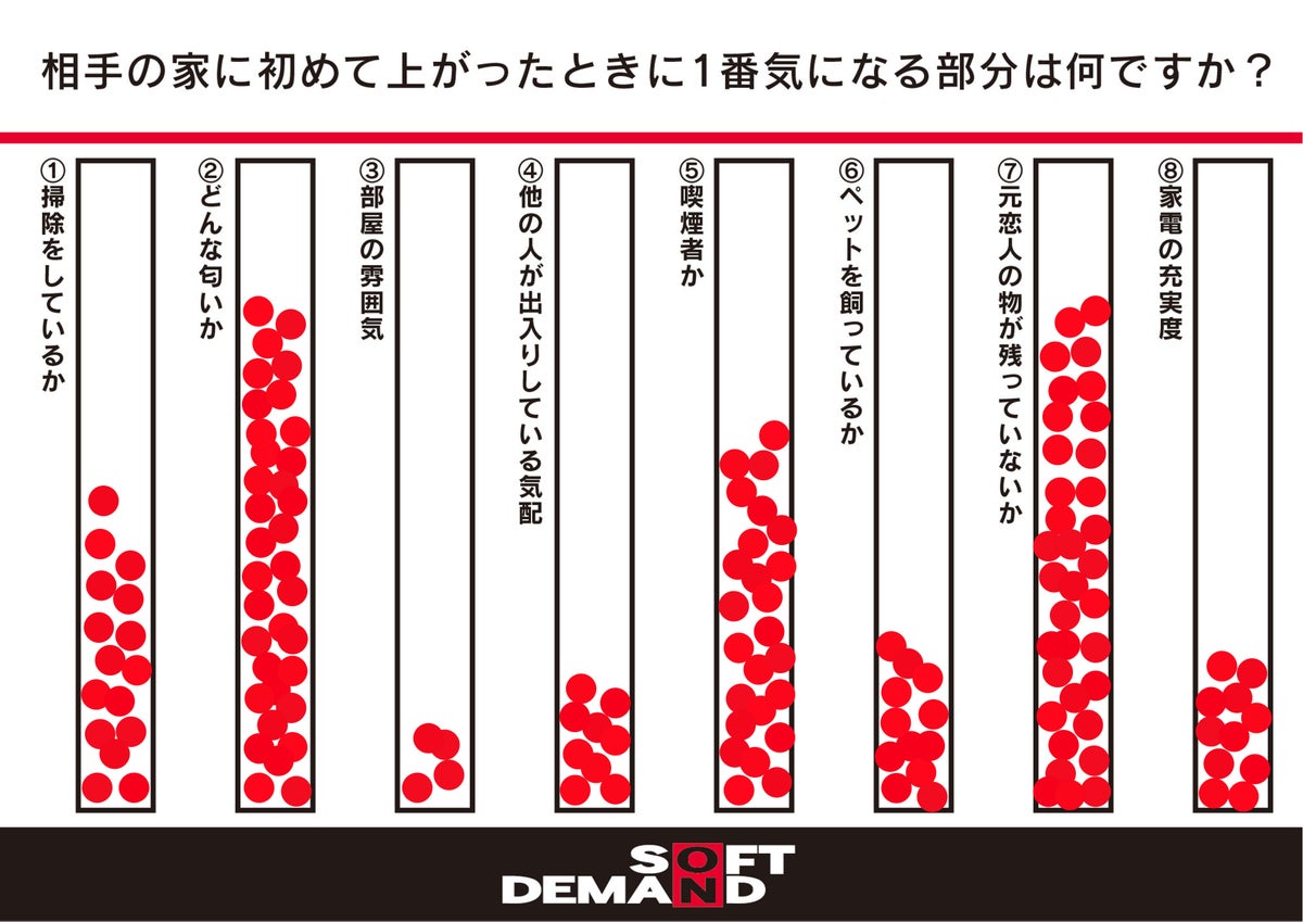 国性調査 イメージ
