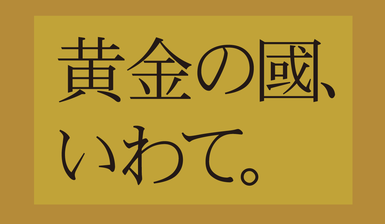 ヘッドレストカバー（前面）