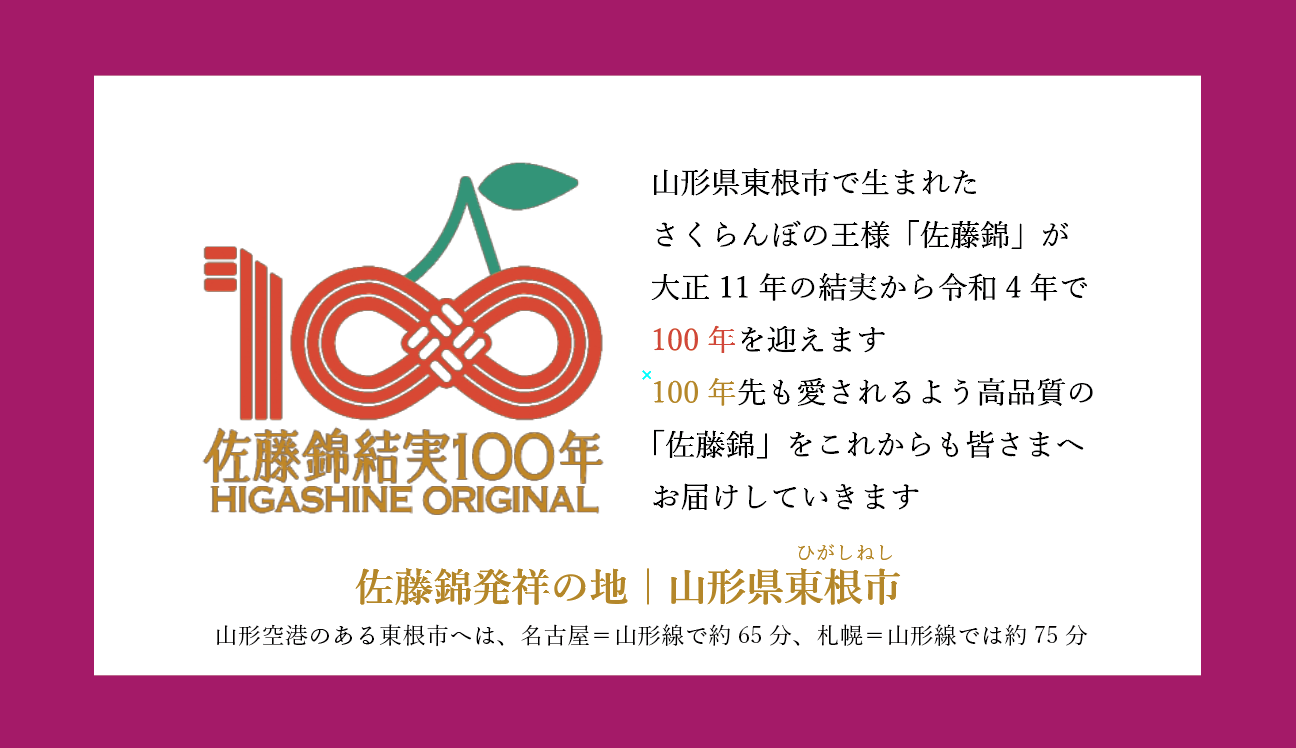 ヘッドレストカバー（後面）