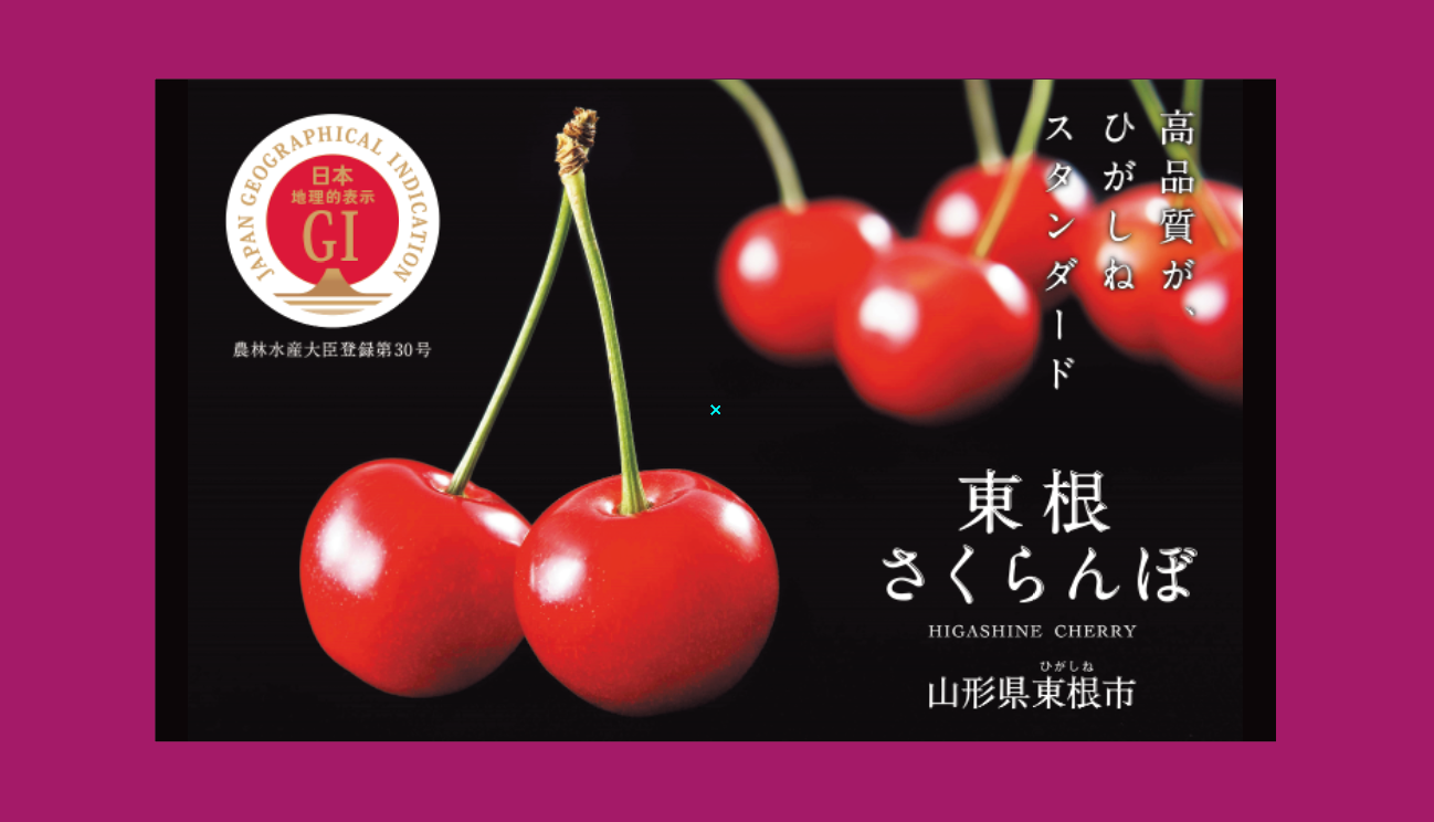 ヘッドレストカバー（前面）