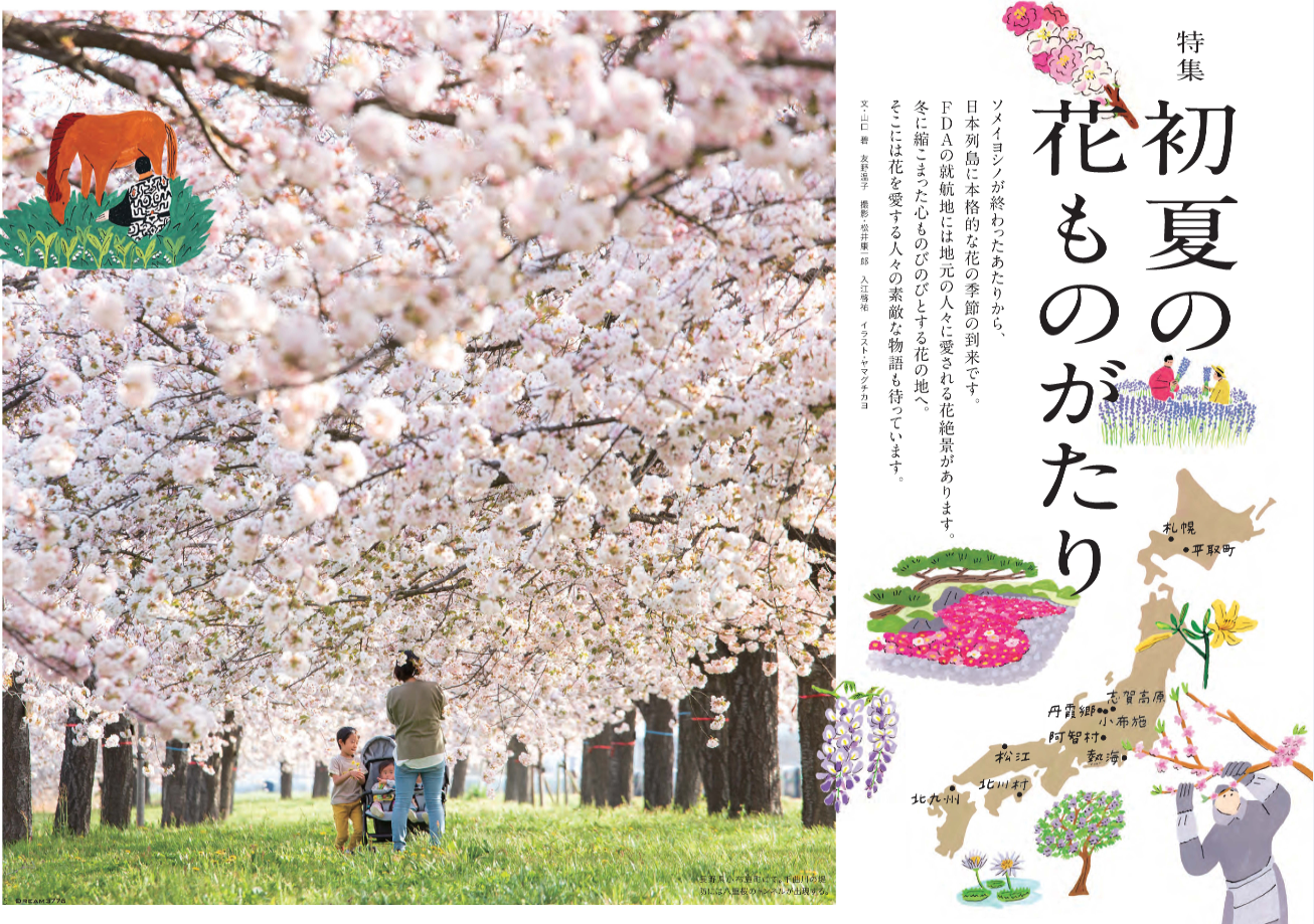 FDA 機内誌「DREAM3776 ”2022年春号”」の発行について | 株式会社フジ