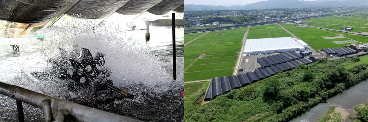 株式会社薩摩川内鰻HPより