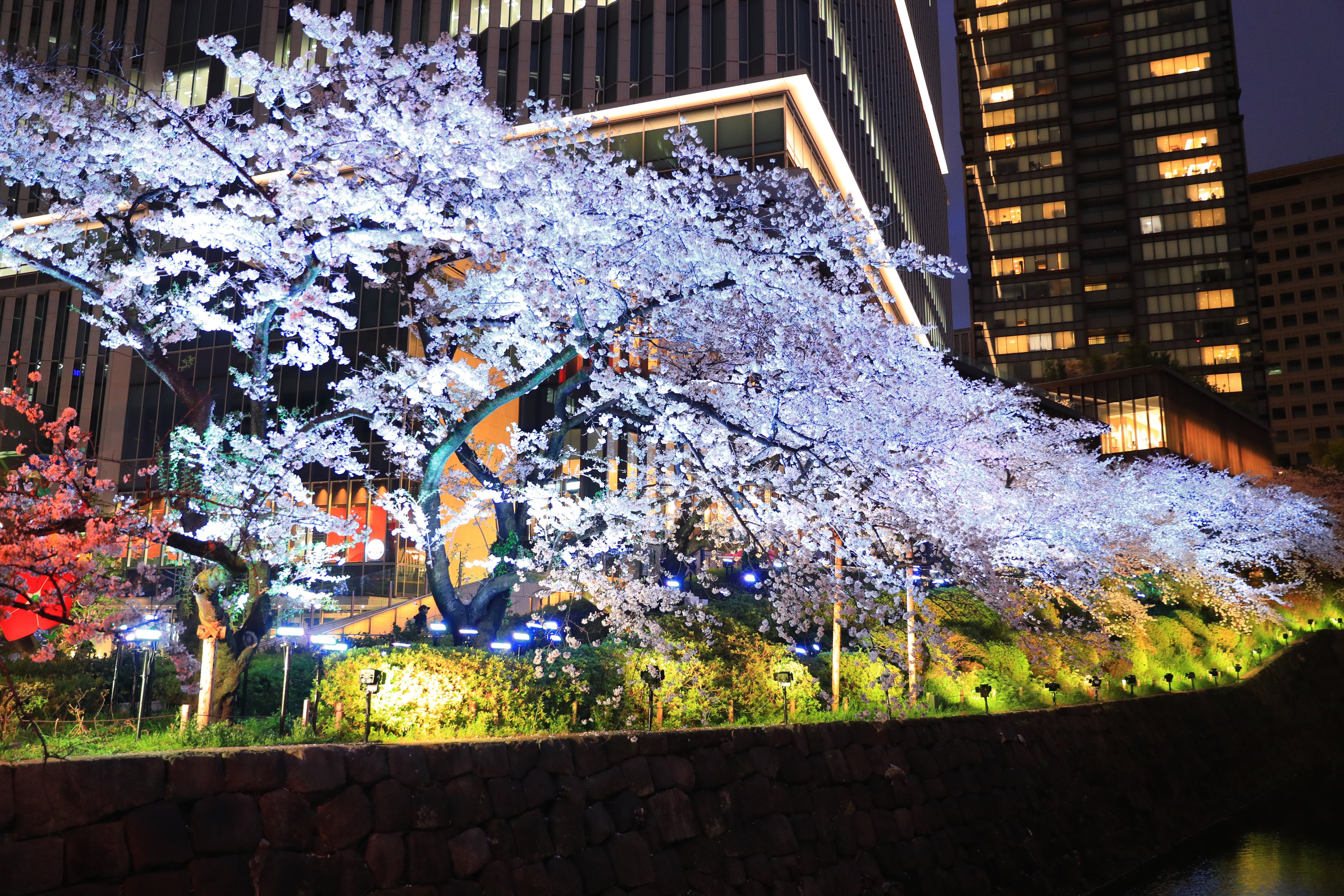 ライトアップ　イメージ