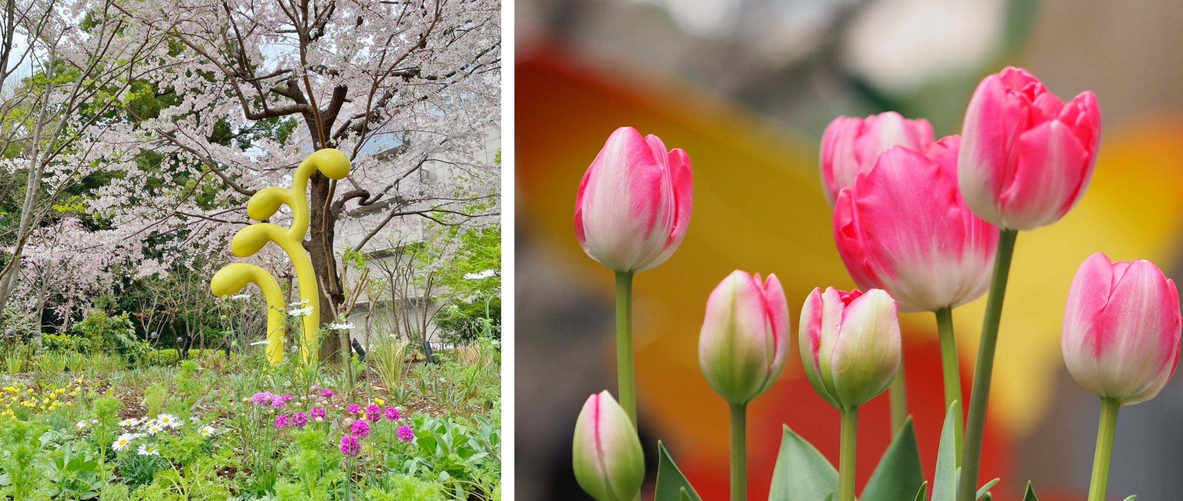 ナチュラリスティックガーデン（イメージ）