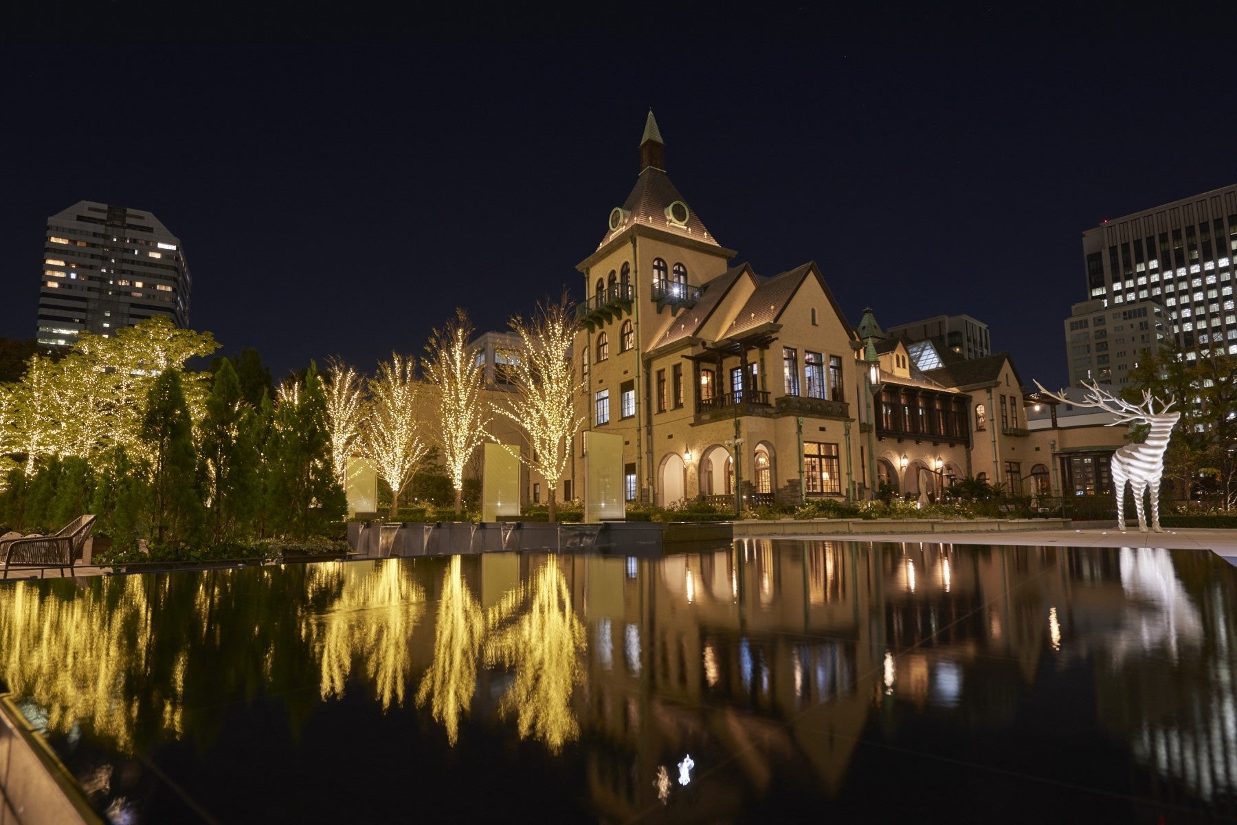 アート✕歴史的文化財✕イルミネーション