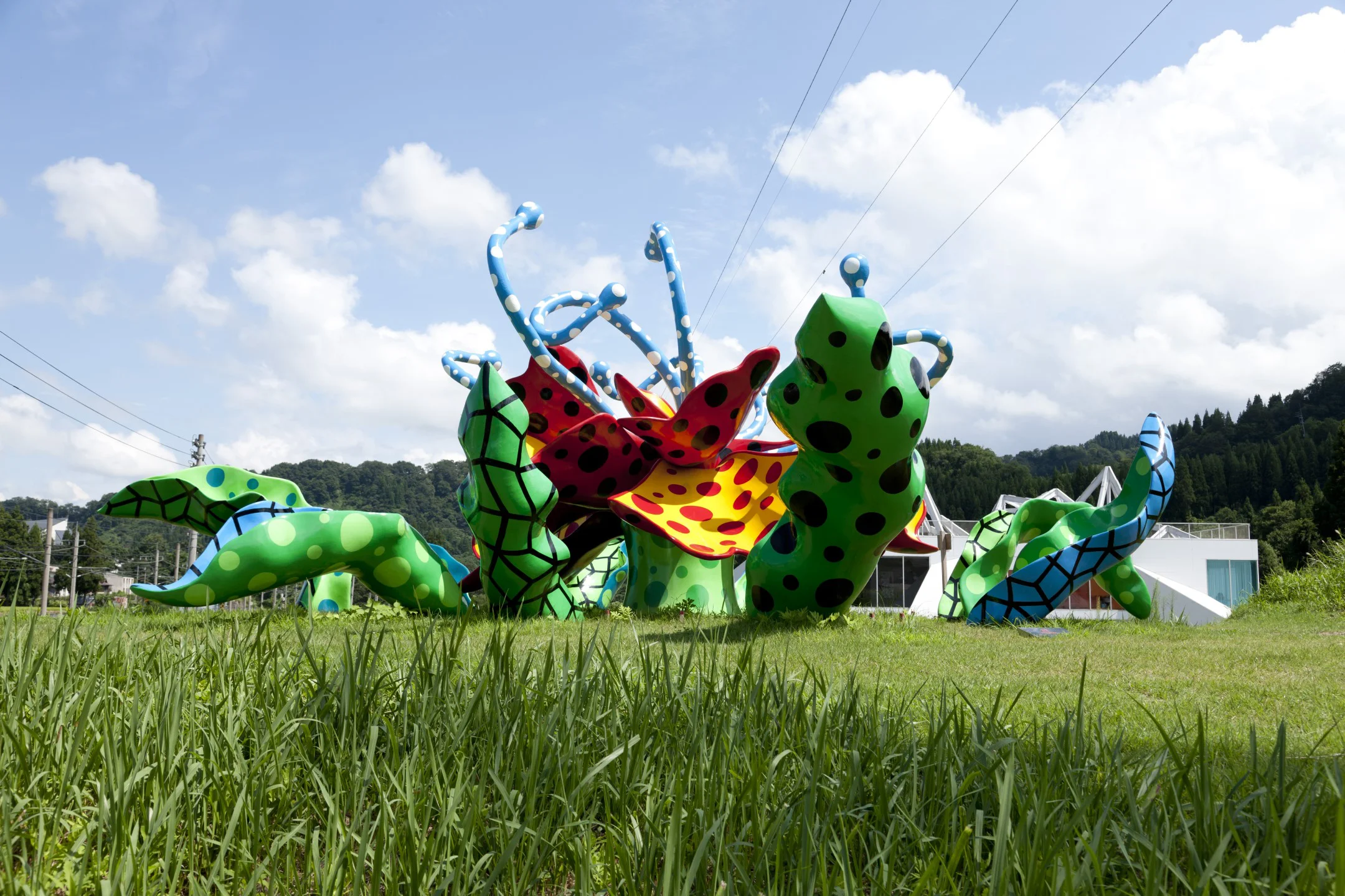 広大な自然・世界水準のアート 草間彌生などの世界的作家と、地域の人々が共創する「大地の芸術祭」の資源を活かし、現代アート・里山・雪国文化・農業・食・スポーツなど新たな興味・関心を刺激するアクティビティを提供します。(photoNakamura Osamu)