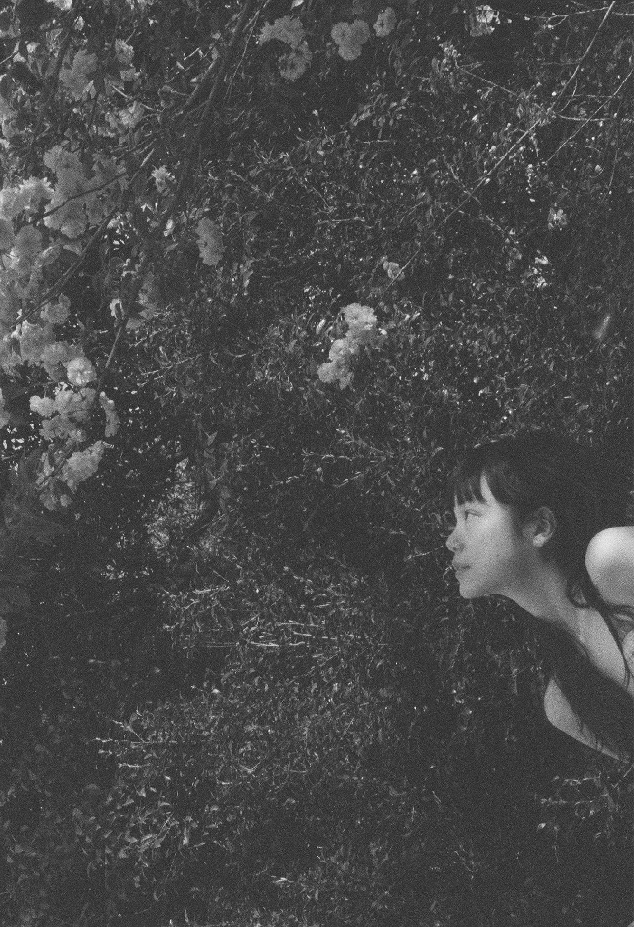 古川琴音×東京タワー