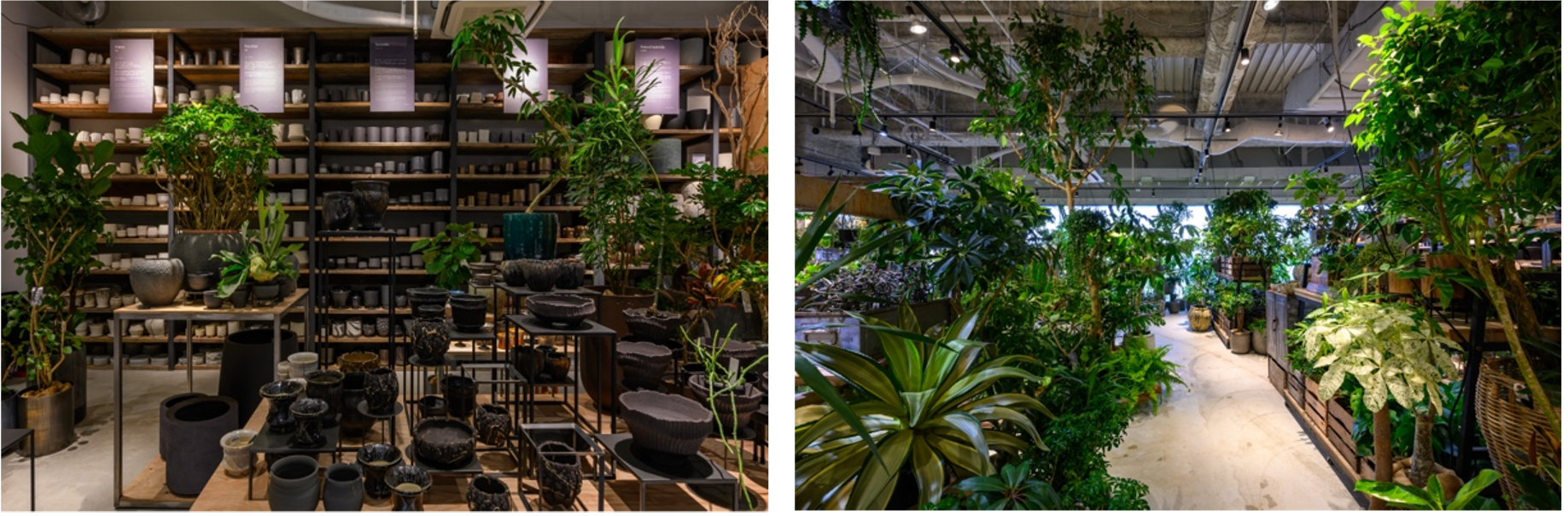 渋谷スクランブルスクエア9階が3月1日（金）リニューアルオープン