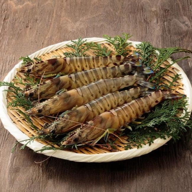 車エビイメージ画像