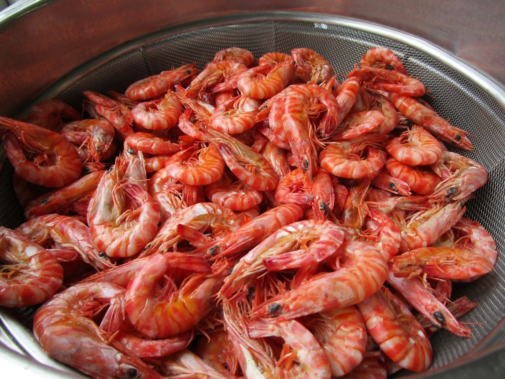 車エビボイルエビ