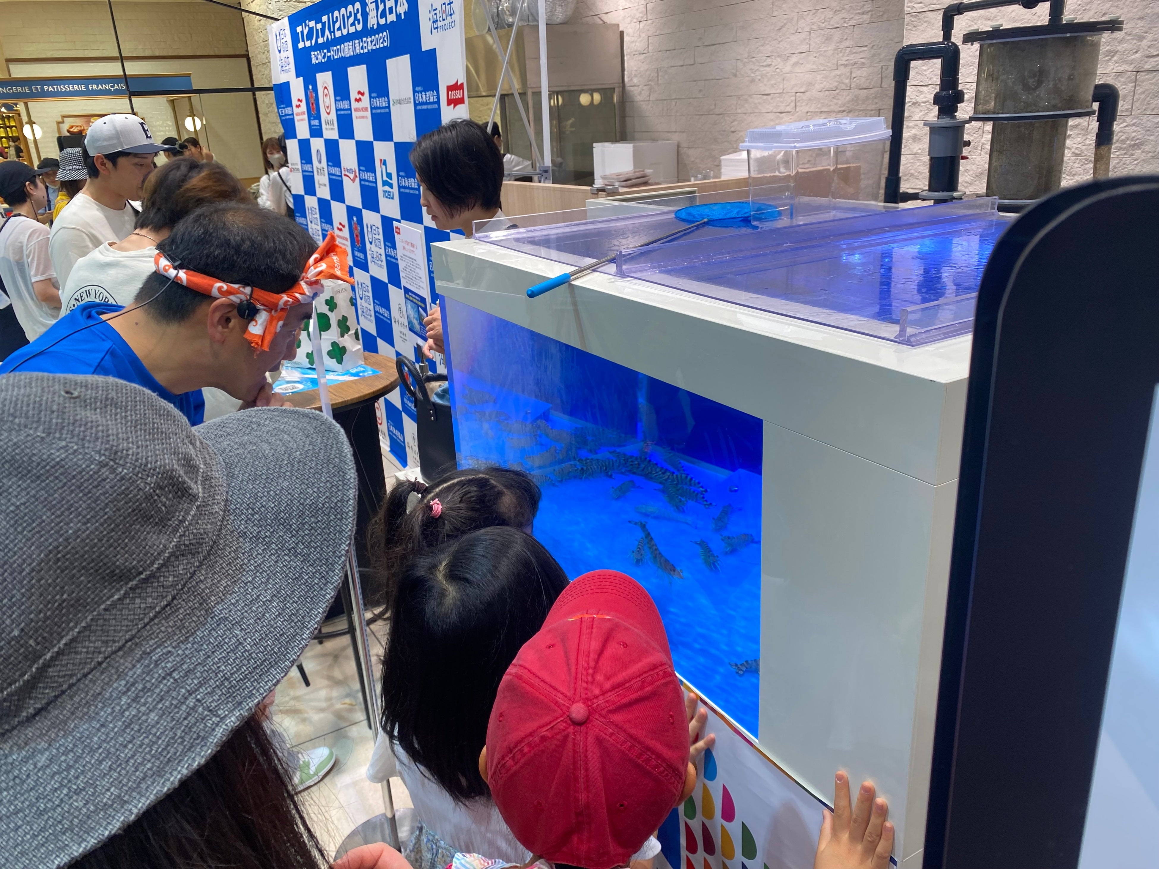 エビの水槽展示＆ふれあい
