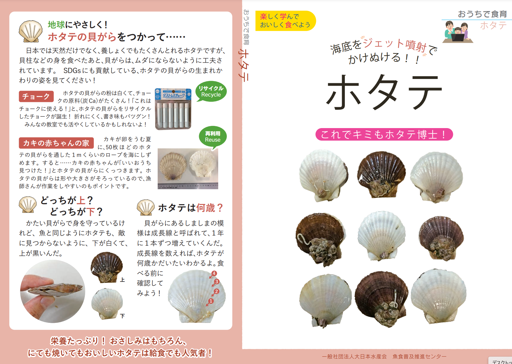 ホタテ教材　表