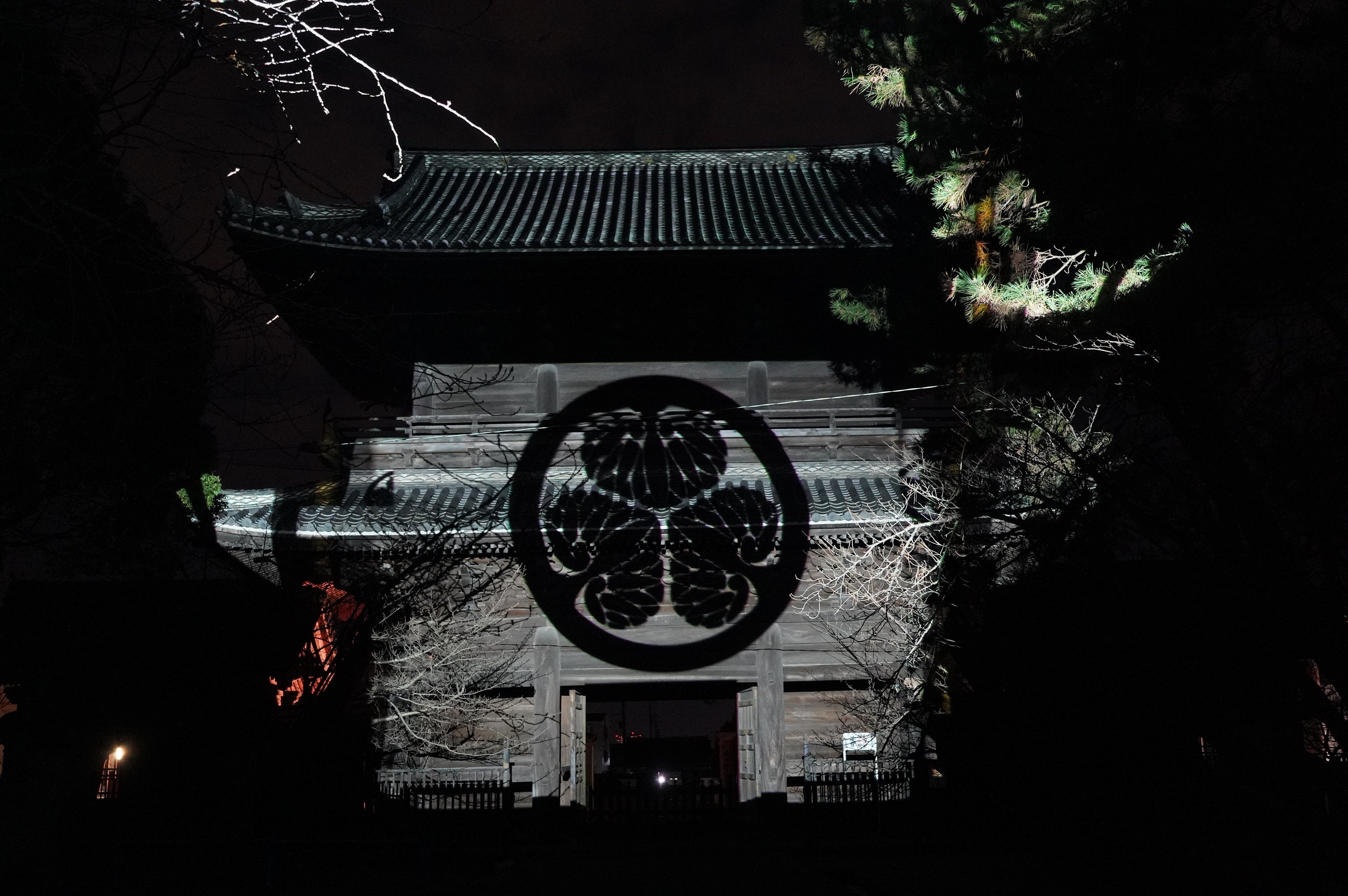 前年度の実施風景