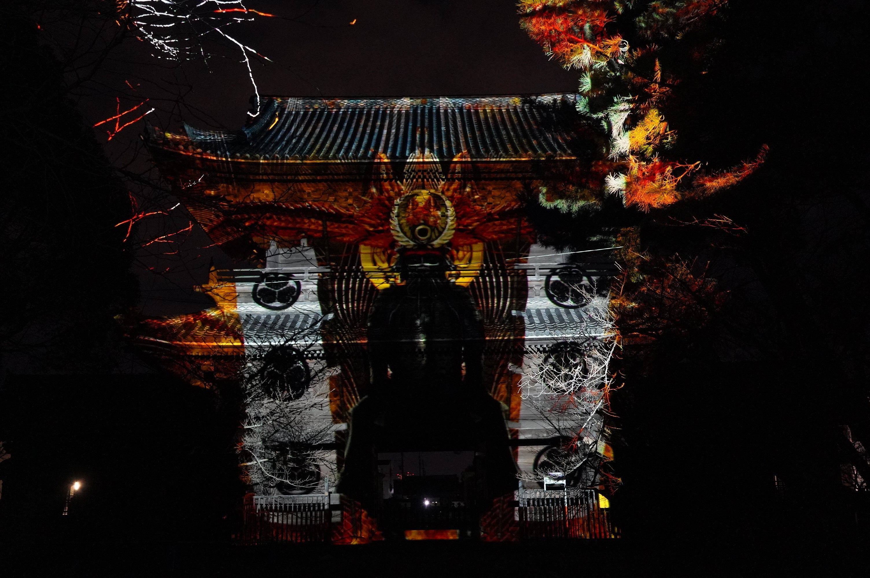 前年度の実施風景