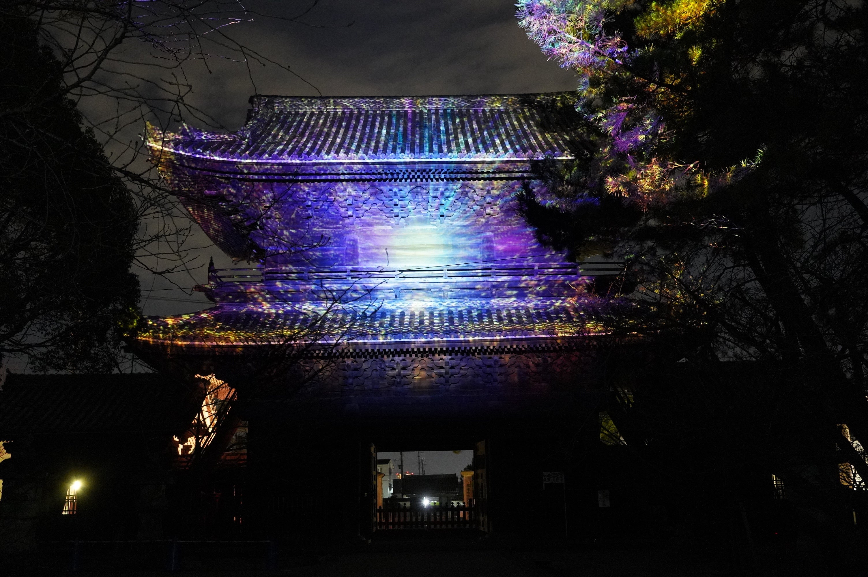 前年度の実施風景