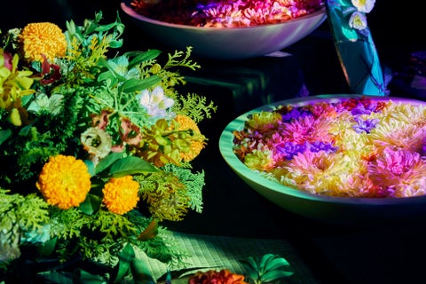 伊藤家住宅×花とデジタルアートの祭典 2023-2024 伊藤家住宅×花とデジタルアートの祭典 2023-2024