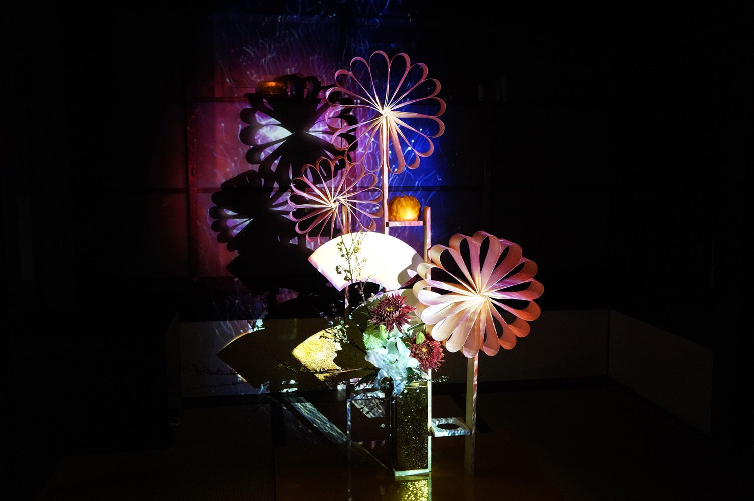 百花繚乱 彩の国 1553 開花中 ddイルミリオンパステルグラデーション　クリスマスローズ  開催中一旗プロデュース「花とデジタルアートの祭典」第2弾「映花