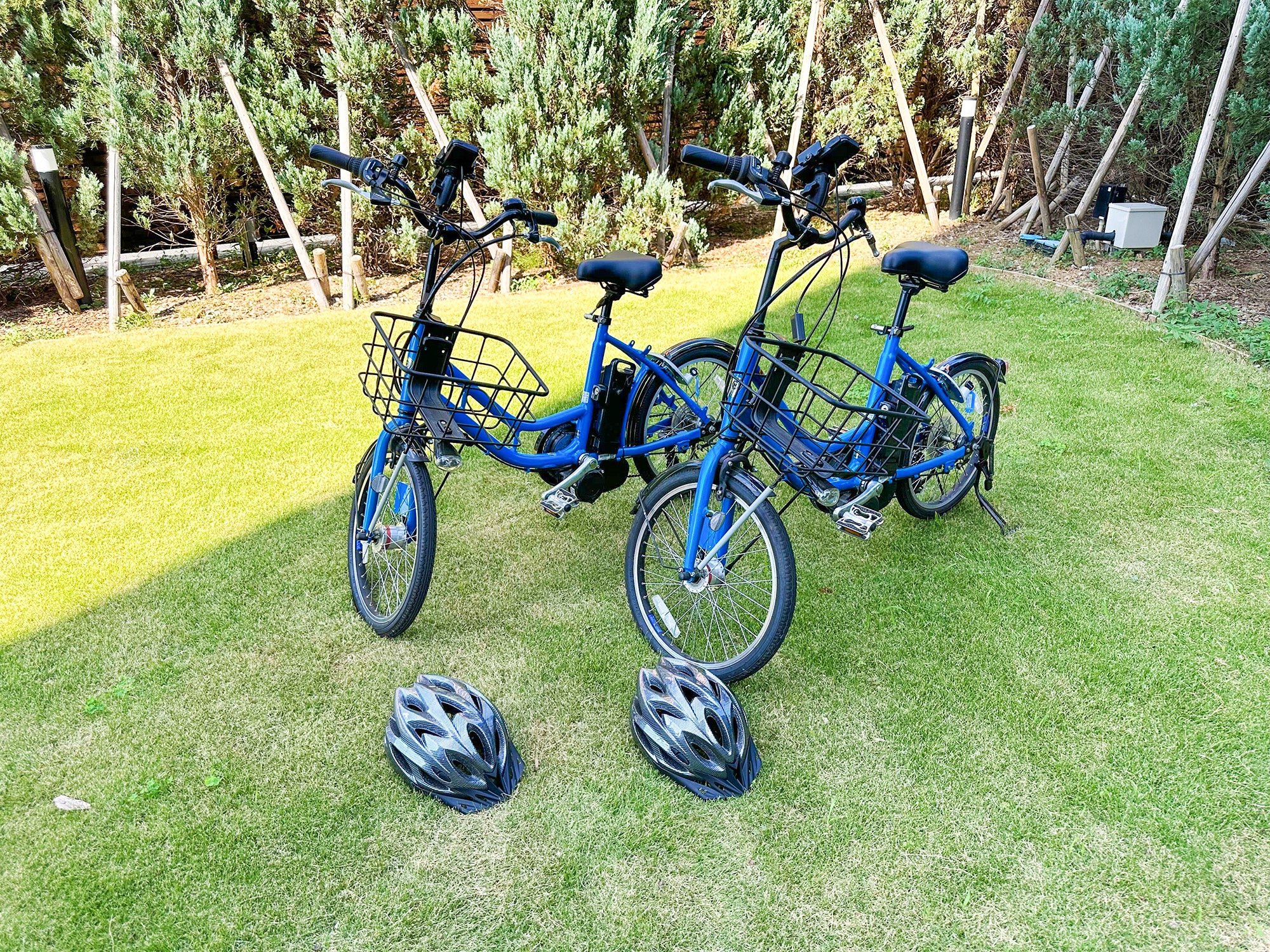 国営武蔵丘陵森林公園、電動自転車レンタルサイクリング付き宿泊プラン