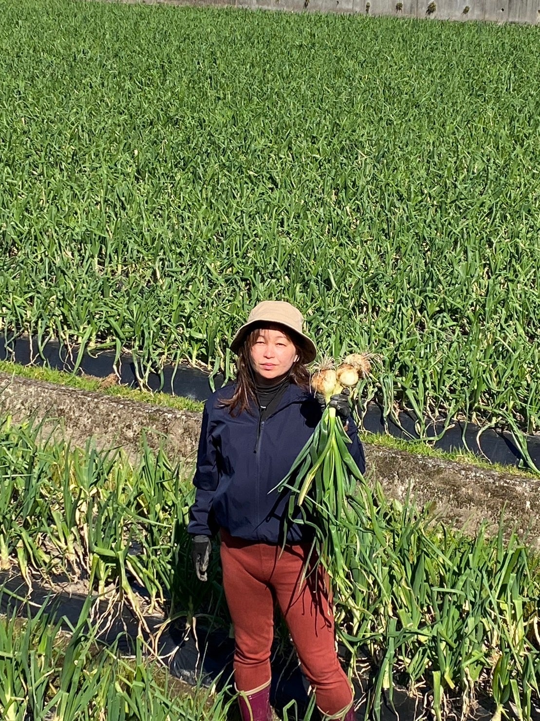 ◎熊本県「篠原農園」玉ねぎ