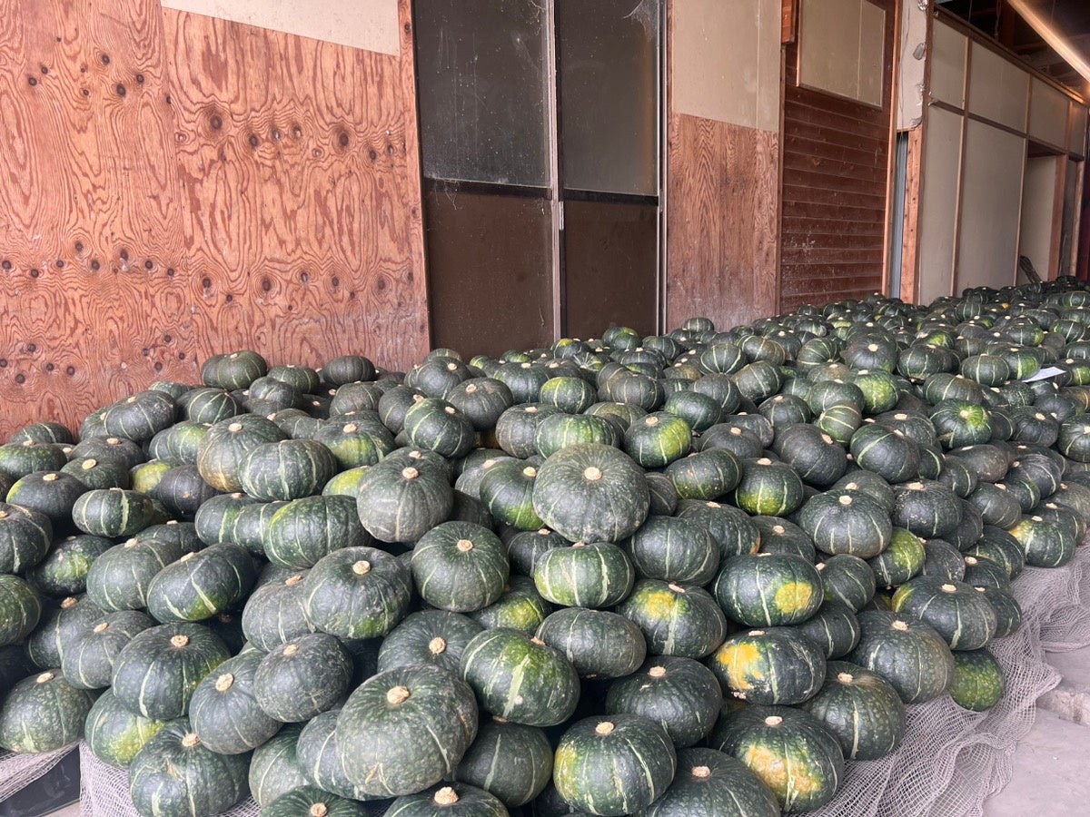 ◎熊本県熊本市の北部農園