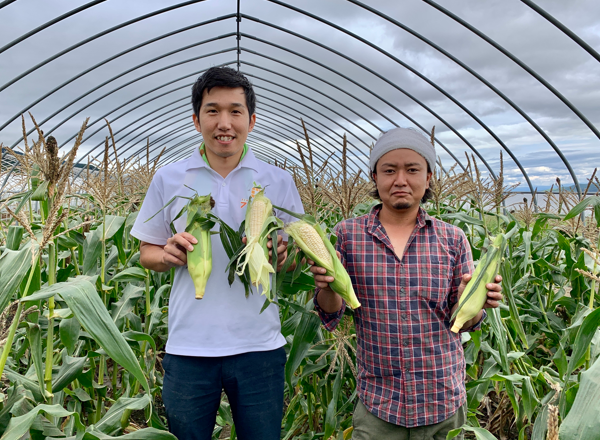 ◎北海道富良野市「萩原農園」白とうもろこし