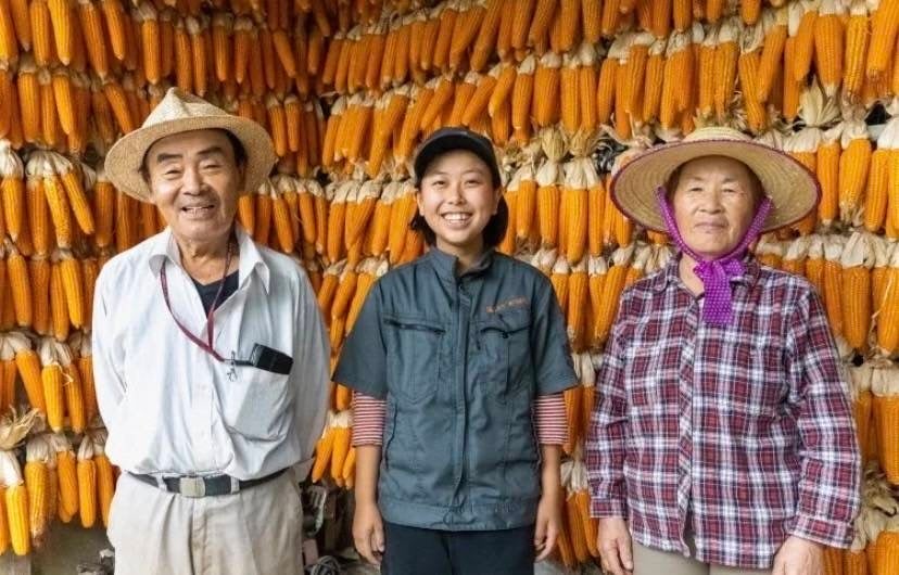ピーマン：熊本県「甲斐農園」