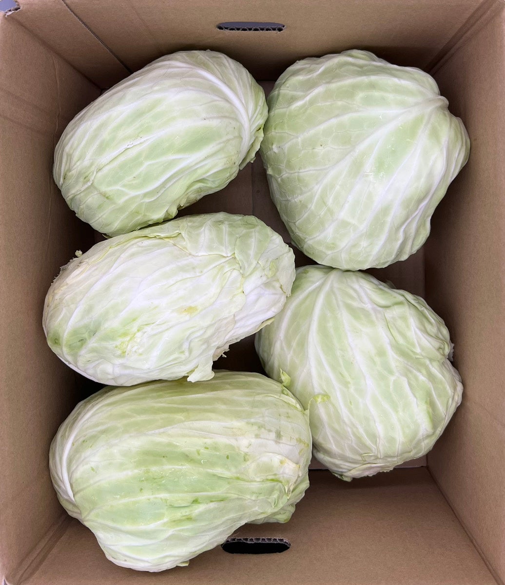 規格外キャベツ ６ｋｇ相当 （写真はイメージ） ※規格外のためサイズによってキャベツの個数は異なります。