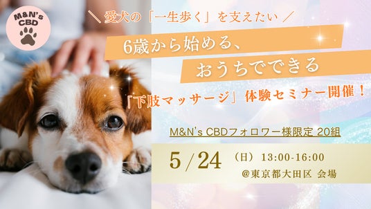 「愛犬の“一生歩く”を支える」プレシニア向け下肢マッサージ体験セミナーを2026年5月24日に開催 「愛犬の“一生歩く”を支える」プレシニア向け下肢マッサージ体験セミナーを2026年5月24日に開催