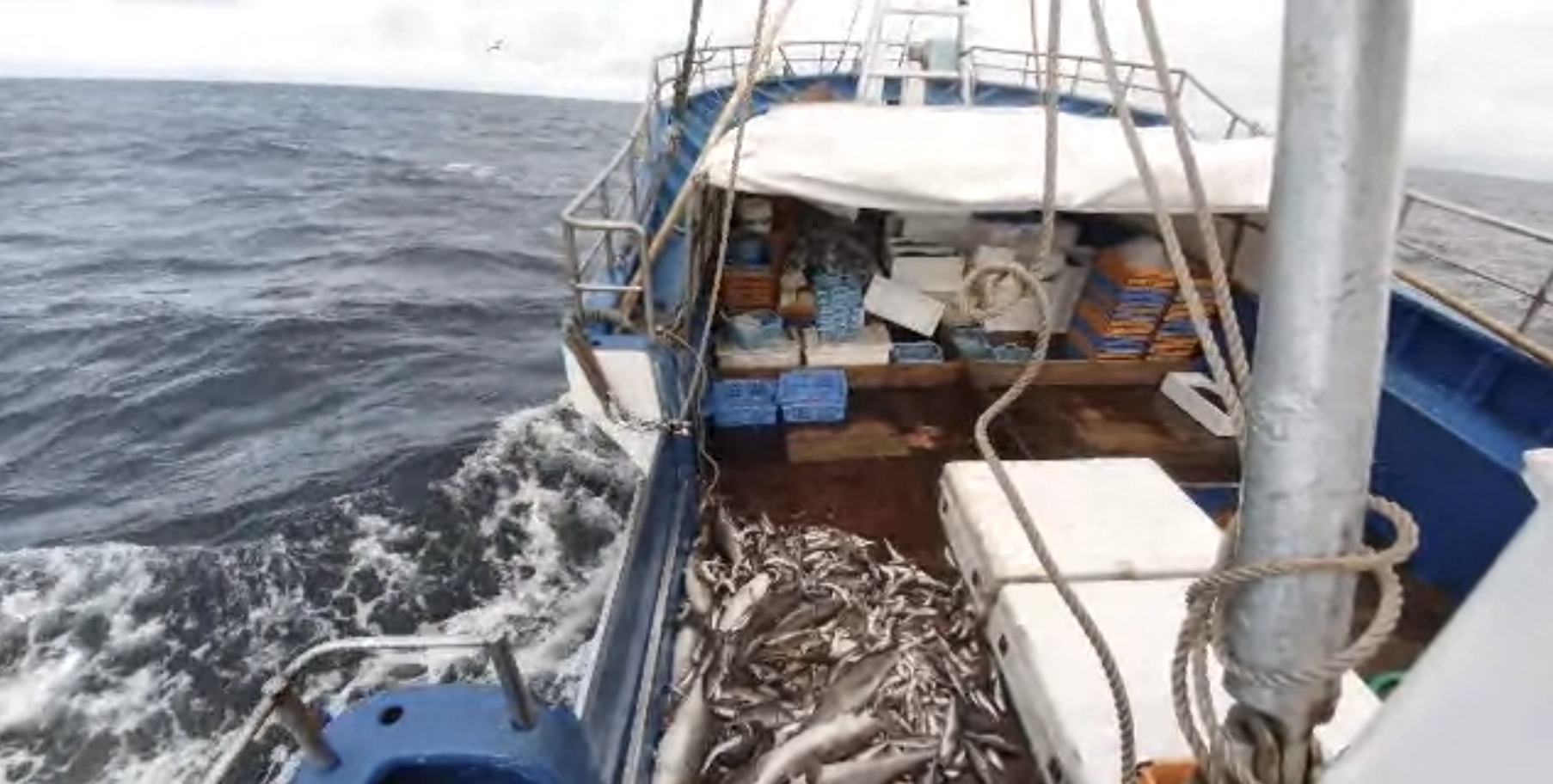 船上の配信イメージ