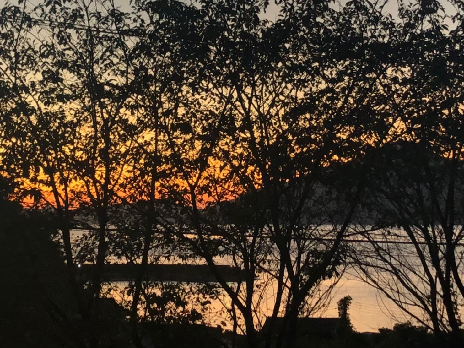 部屋からの景色