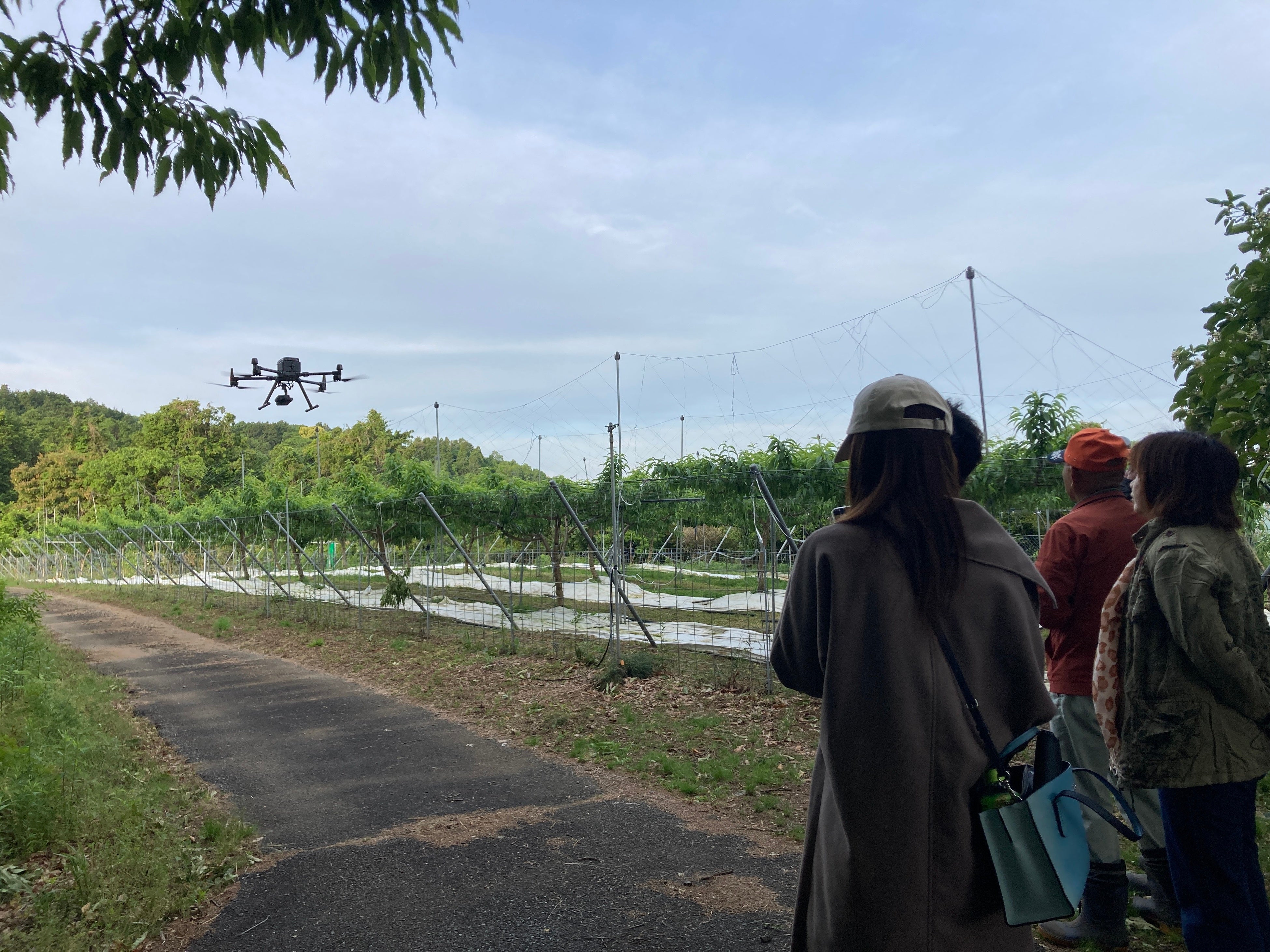 多久市内山林のドローン着陸の様子