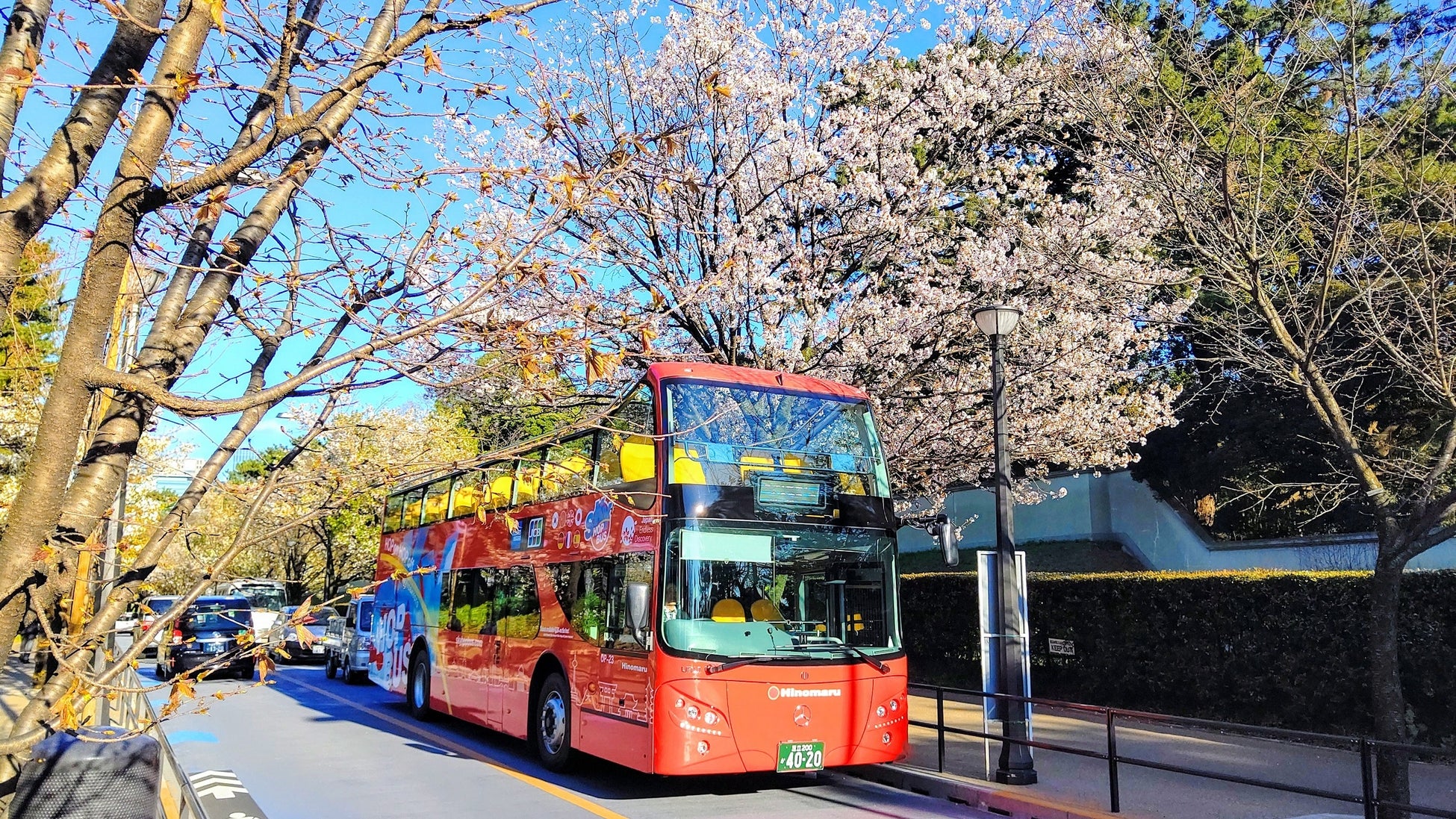 スカイバス東京の 桜week はさらにパワーアップ オープンエアの スカイバス や スカイ ダック でお花見を 3月25日 金 運行スタート 日の丸自動車興業株式会社のプレスリリース スカイバス東京の 桜week はさらにパワーアップ オープンエアの スカイバス や スカイ ダック でお花見を 3月25日 金 運行スタート 日の丸自動車興業株式会社のプレスリリース