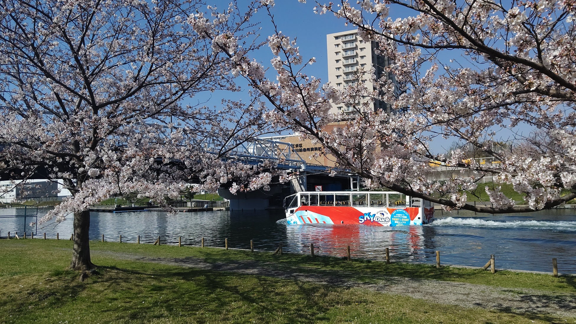 スカイバス東京の 桜week はさらにパワーアップ オープンエアの スカイバス や スカイ ダック でお花見を 3月25日 金 運行スタート 日の丸自動車興業株式会社のプレスリリース スカイバス東京の 桜week はさらにパワーアップ オープンエアの スカイバス や スカイ ダック でお花見を 3月25日 金 運行スタート 日の丸自動車興業株式会社のプレスリリース