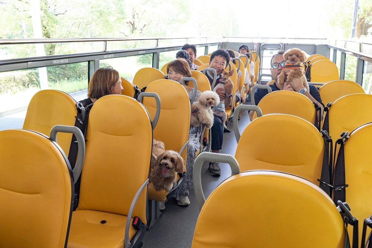 スカイバス車内の様子