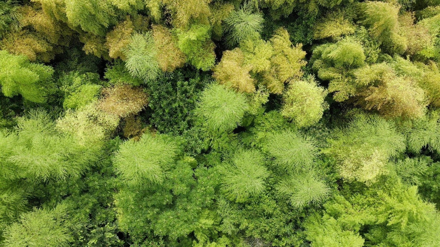 日尾山に囲まれた立地