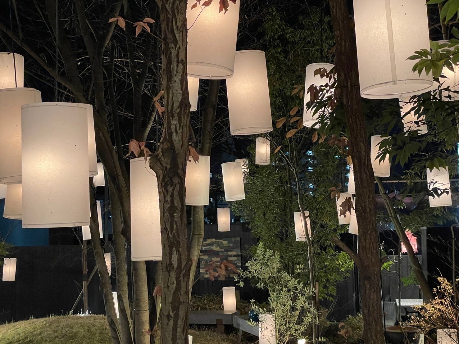 〜イルミネーションは現在実施中〜