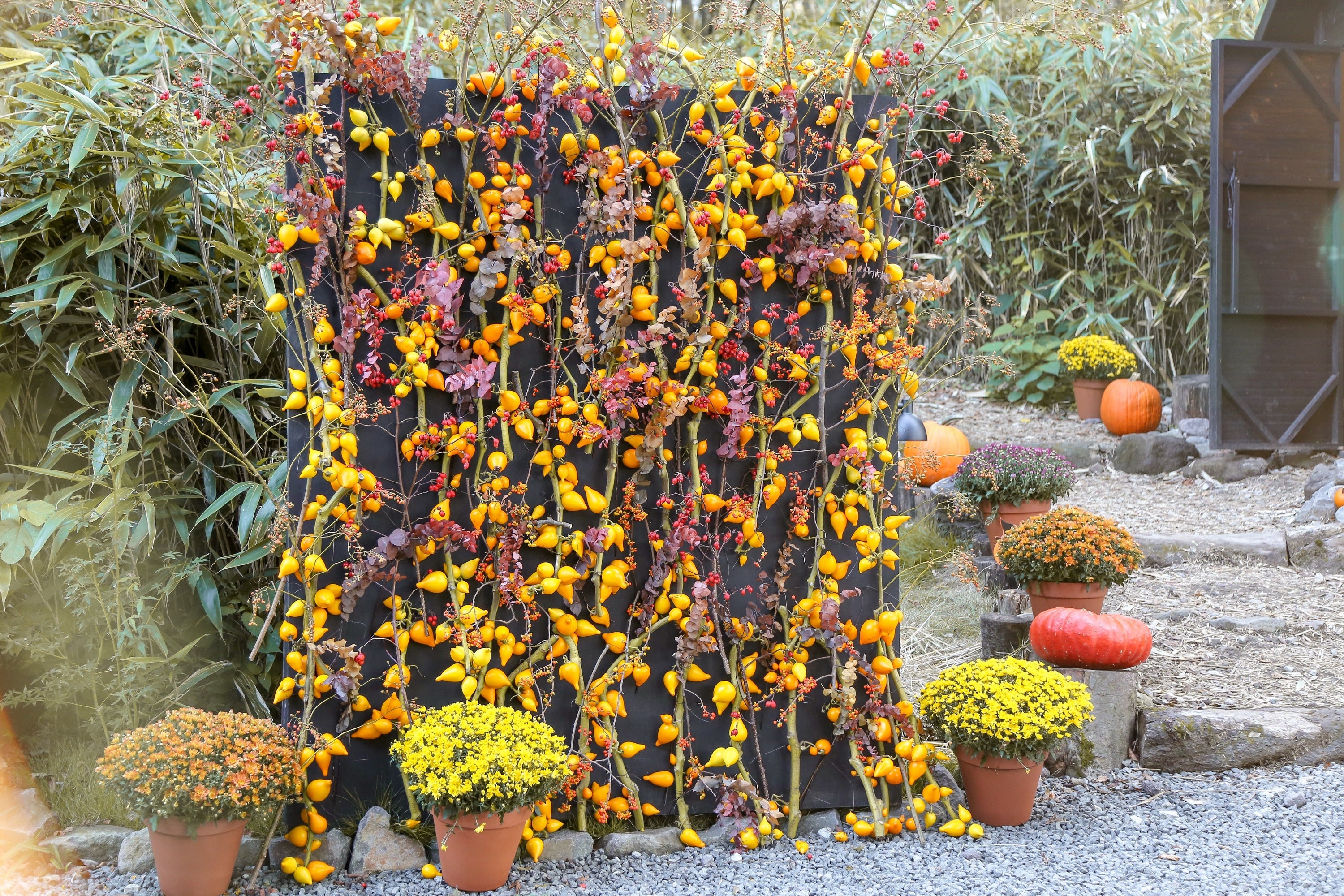 ニコライ バーグマン 箱根 ガーデンズのHALLOWEEN GARDENS’ NIGHT