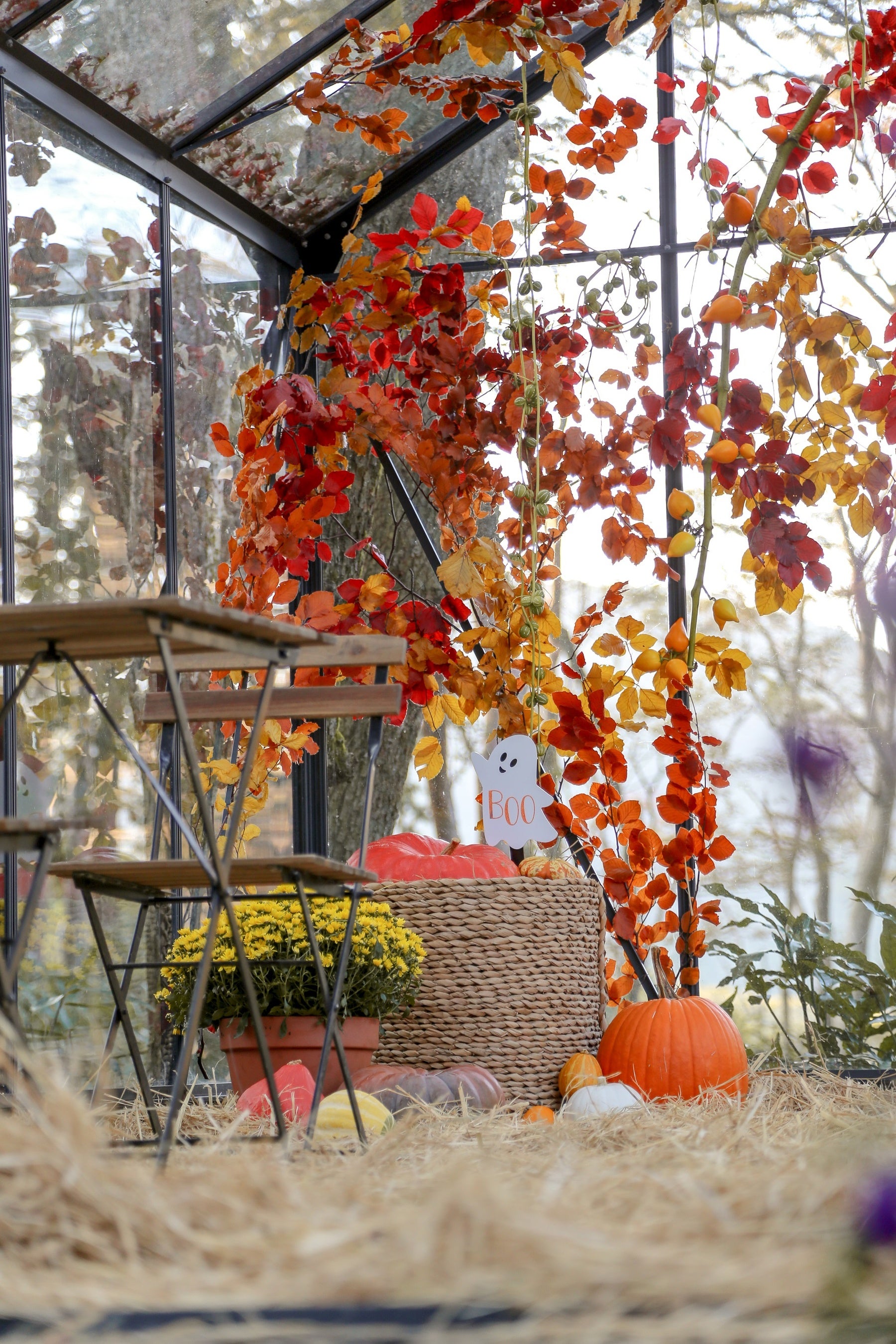 ニコライ バーグマン 箱根 ガーデンズのHALLOWEEN GARDENS’ NIGHT