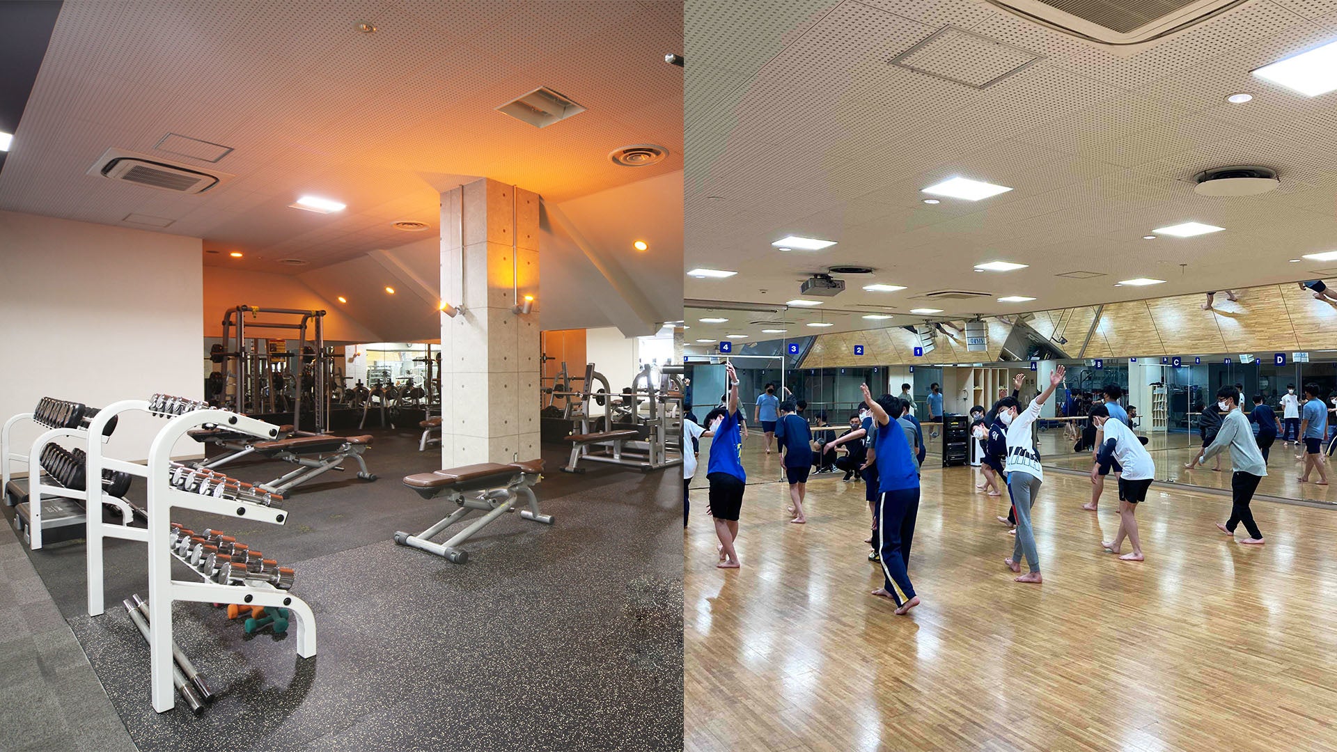 東急スポーツ オアシス OASIS 体幹トレーニング 体幹ステッパー SP-300 ダイエットに！体幹を鍛える 東急スポーツオアシス ステッパー OASIS 体幹ステッパーエクササイズ