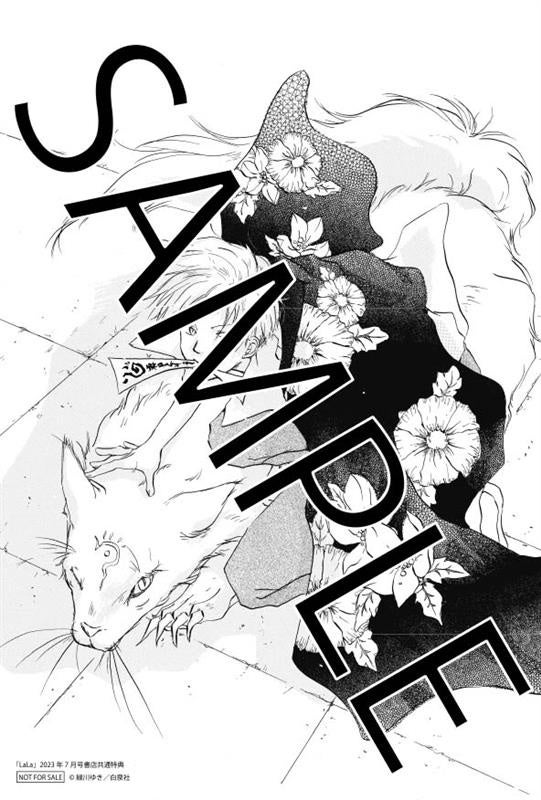 書店共通特典ペーパー：『LaLa』2023年7月号