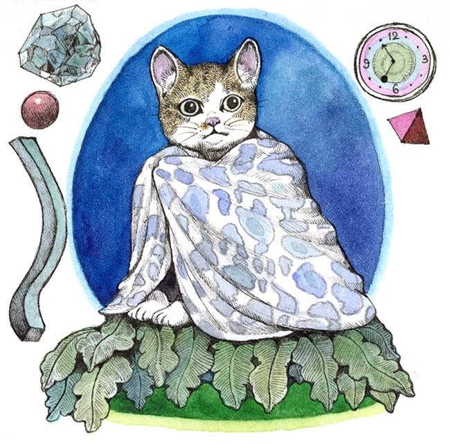 イラスト／ヒグチユウコ