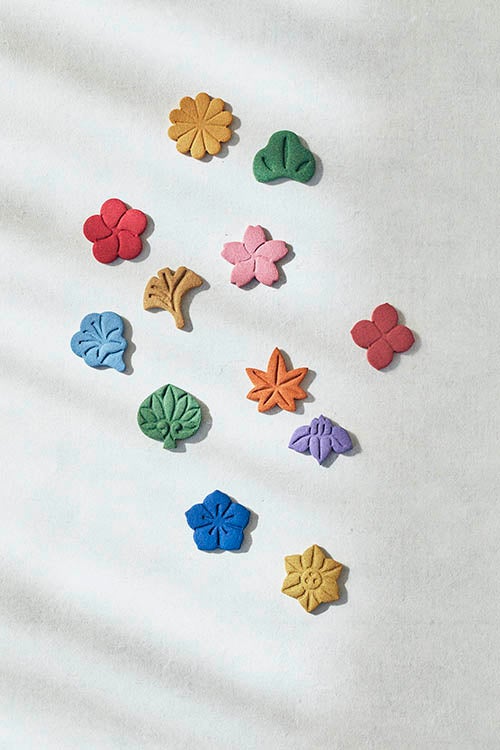 撮影／黒川ひろみ