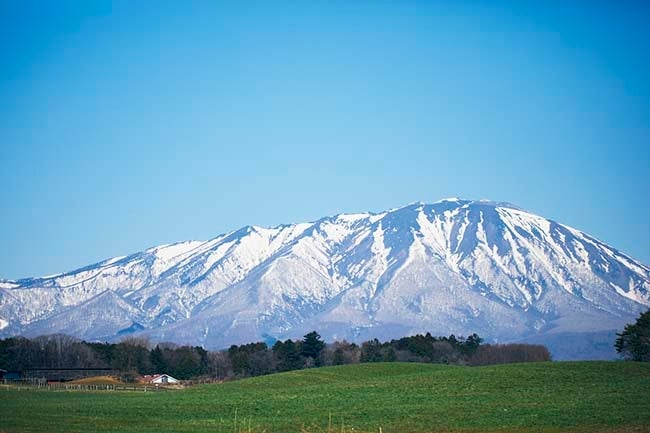 撮影／黒川ひろみ