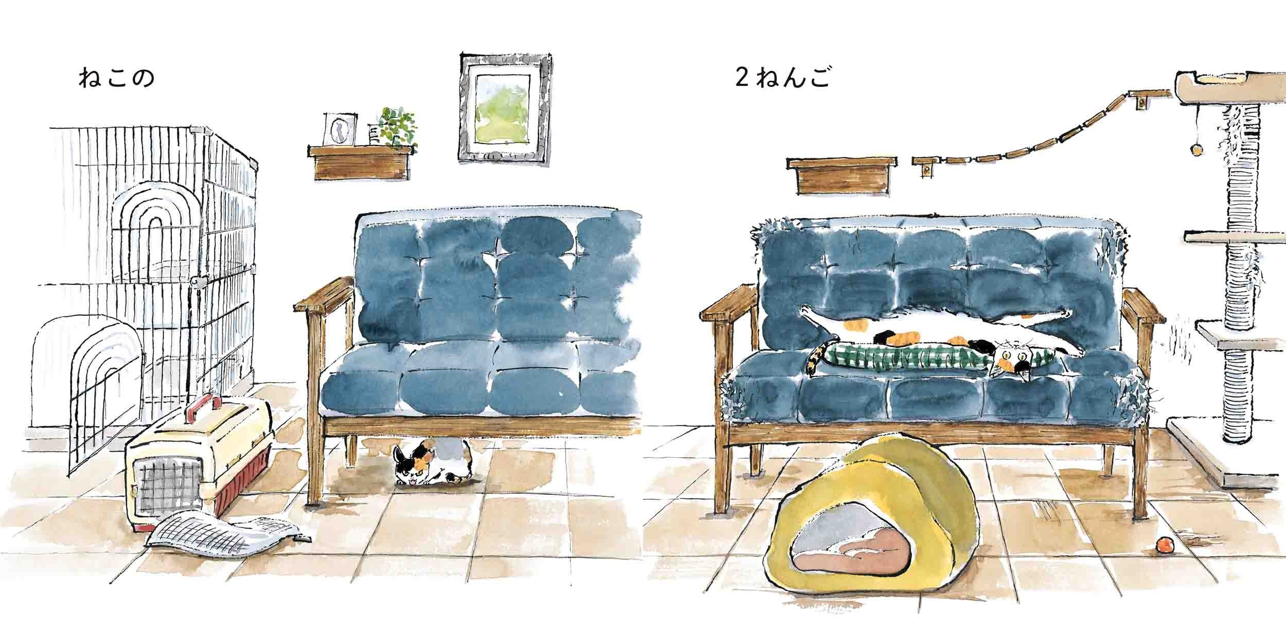 ©ハラミチヨ／白泉社