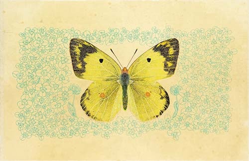 『へんしん すがたをかえるイモムシ」桃山鈴子／作　井上大成／解説・監修　福音館書店